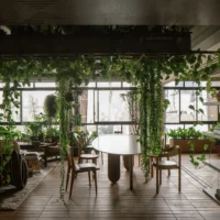 Biophilic Design for Small Urban Spaces & Apartments